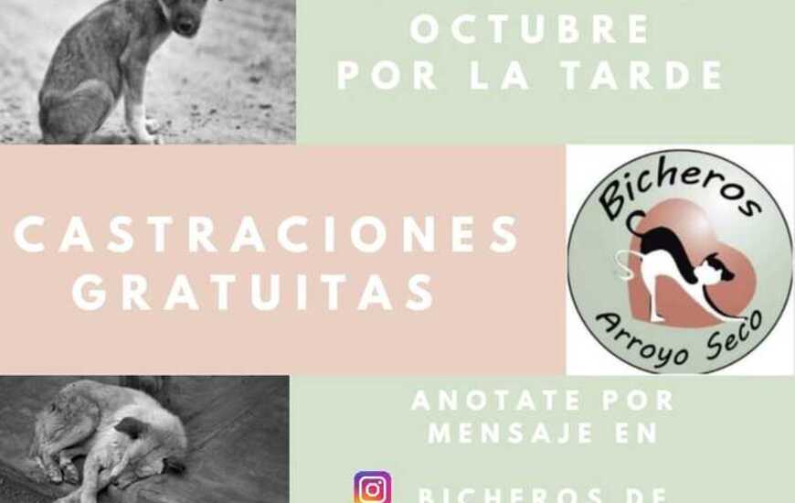 Imagen de Lunes 28 de octubre, nueva jornada de castraciones