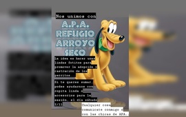 Imagen de Sesi&oacute;n de fotos para los perritos del refugio