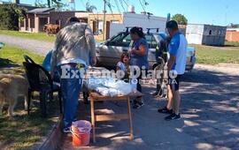 Imagen de Vacunaci&oacute;n antirr&aacute;bica en Fighiera