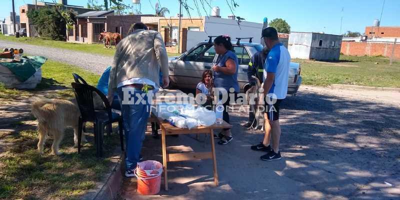 Imagen de Vacunaci&oacute;n antirr&aacute;bica en Fighiera