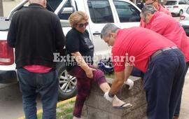 Imagen de Una mujer mordida por un perro callejero