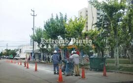 Imagen de Bacheo y barrido en la zona centro