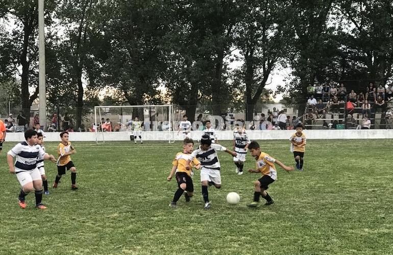 Infantiles y juveniles en las canchas del Lobo