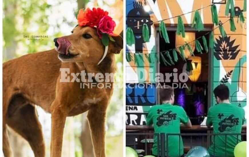 Imagen de Muestra de fotos a beneficio de APA, Refugio Arroyo Seco