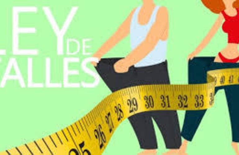 Imagen de Diputados aprob&oacute; por amplia mayor&iacute;a la ley de talles