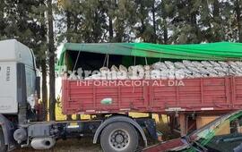 Las bolsas se apilan de tal manera que para quien est&aacute; acostumbrado a llevar este tipo de mercader&iacute;a, es imposible no darse cuenta del faltante.