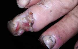 Foto Facebook Alicia Estevez