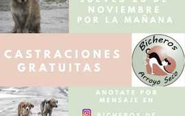 Imagen de Jornada de castraciones gratuitas