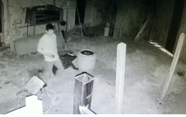 Foto: captura de pantalla video