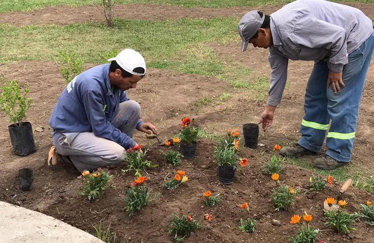 Imagen de Embellecimiento de espacios p&uacute;blicos