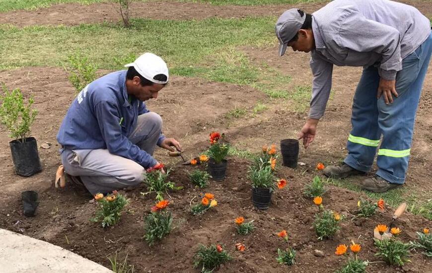 Imagen de Embellecimiento de espacios p&uacute;blicos