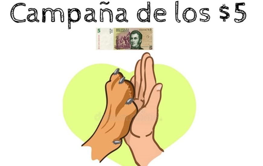 Imagen de Bicheros lanz&oacute; la Campa&ntilde;a de los 5 pesos