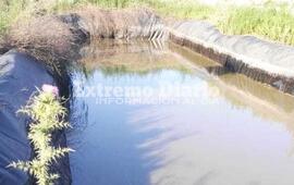 D&iacute;as atr&aacute;s se conoci&oacute; una denuncia por un perro que se ahog&oacute; en el lugar.