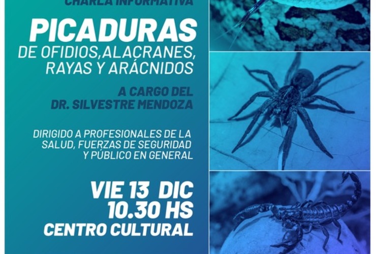 Imagen de Charla informativa: Picadura de ofidios, alacranes, rayas y arácnidos