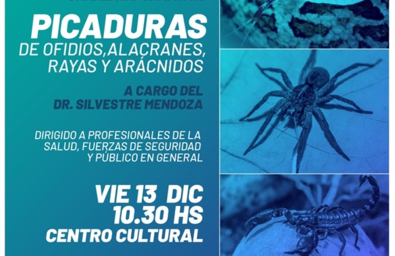 Imagen de Charla informativa: Picadura de ofidios, alacranes, rayas y arácnidos