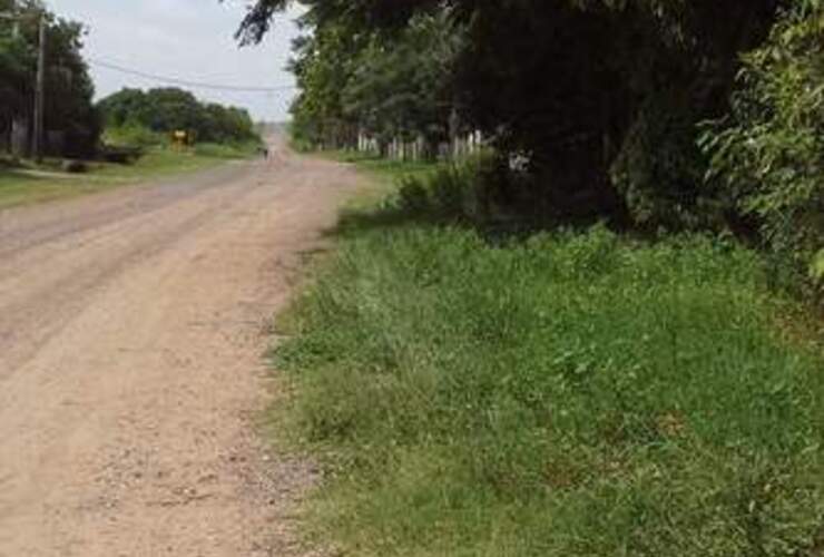 Imagen de Confirman transporte municipal semanal para El Omb&uacute;