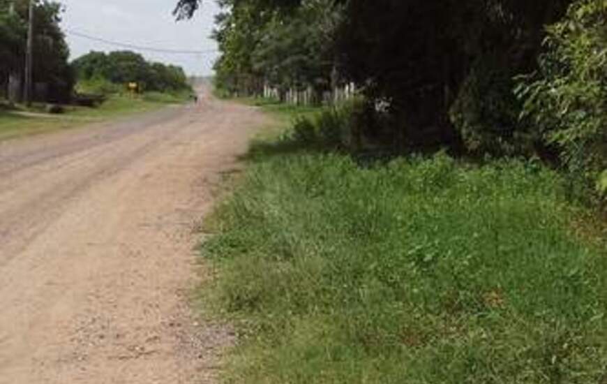 Imagen de Confirman transporte municipal semanal para El Omb&uacute;