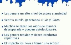 Imagen de Padres de ni&ntilde;os con TGD impulsan campa&ntilde;a contra la pirotecnia