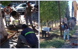 Foto: Municipalidad