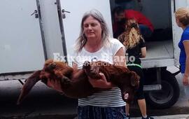 Imagen de 62 castraciones realizadas en la &uacute;ltima campa&ntilde;a del a&ntilde;o