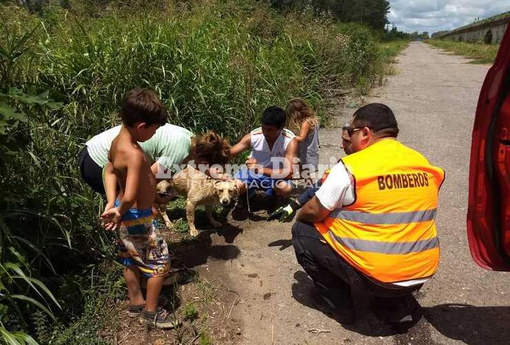 Intervinieron bomberos de Pavón y vecinos