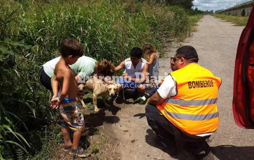 Intervinieron bomberos de Pav&oacute;n y vecinos