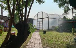 Foto: Municipalidad