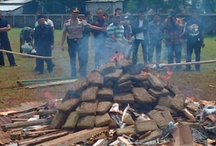 Imagen de La Policía quemó más de 3 toneladas de marihuana al aire libre y drogó a todo un pueblo