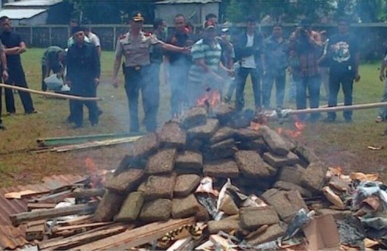 Imagen de La Policía quemó más de 3 toneladas de marihuana al aire libre y drogó a todo un pueblo