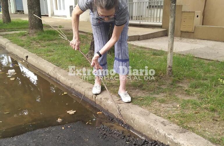 El material pod&iacute;a moverse con una rama