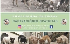Imagen de 1&deg; Jornada de Castraciones de este 2020