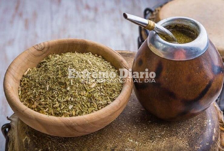 Según explicaron, se detectó la presencia de Salmonella Spp. Según explicaron, se detectó la presencia de Salmonella Spp.