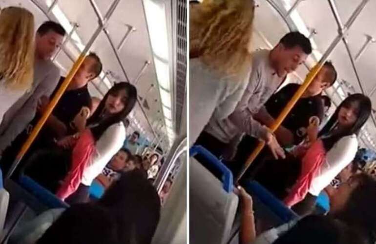 Imagen de Fuerte pelea en un tren porque una pasajera pateó a un perro herido