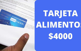 Imagen de Ya entregaron 603.200 Tarjetas Alimentar en todo el pa&iacute;s
