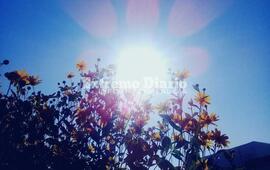 La jornada promete sol y cielo despejado.