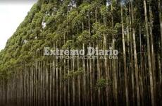 Ser&aacute; el mi&eacute;rcoles 18 de marzo.