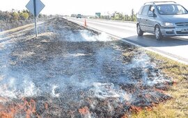 Las llamas suelen observarse a la vera de la ruta que une a la ciudad con Victoria. Foto: Sebasti&aacute;n Su&aacute;rez Meccia