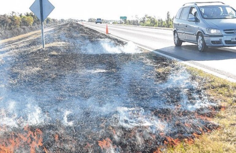 Las llamas suelen observarse a la vera de la ruta que une a la ciudad con Victoria. Foto: Sebastián Suárez Meccia