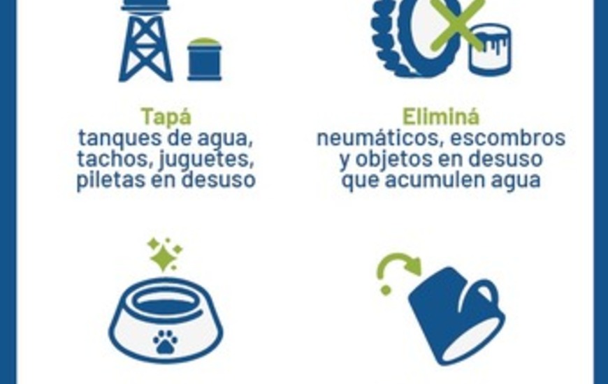 Imagen de Sin Mosquito, No Hay Dengue