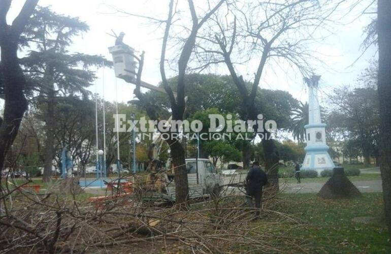 El proyecto tiene, entre otras finalidades, controlar la poda indiscriminada