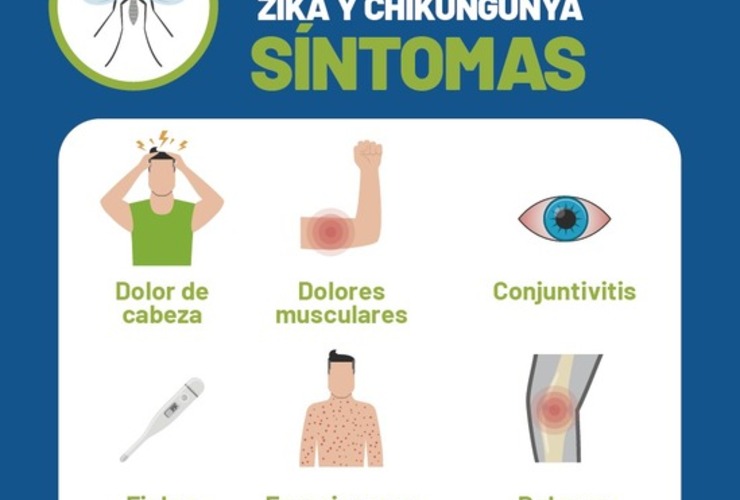 Imagen de Síntomas: Dengue, Zika Y Chikungunya