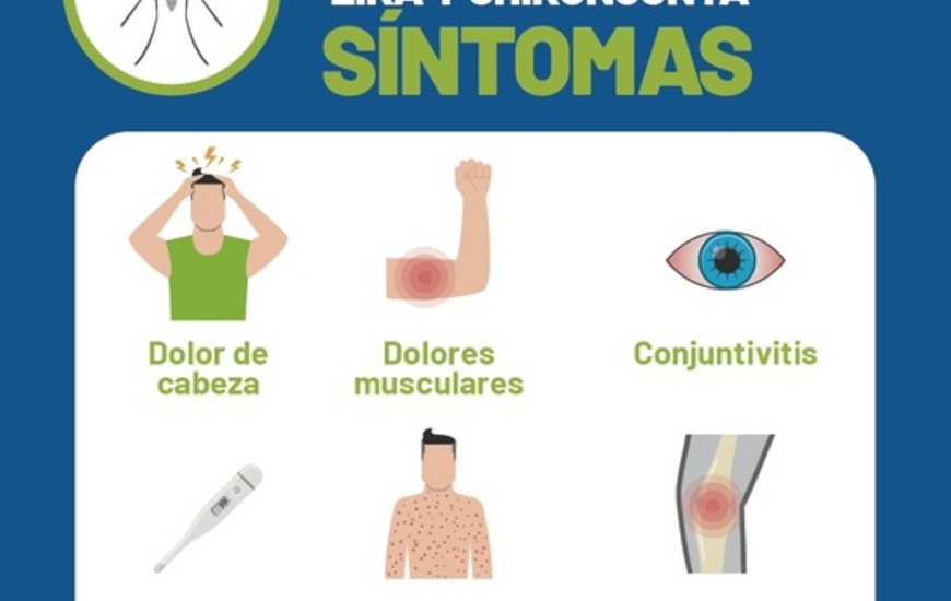 Imagen de S&iacute;ntomas: Dengue, Zika Y Chikungunya
