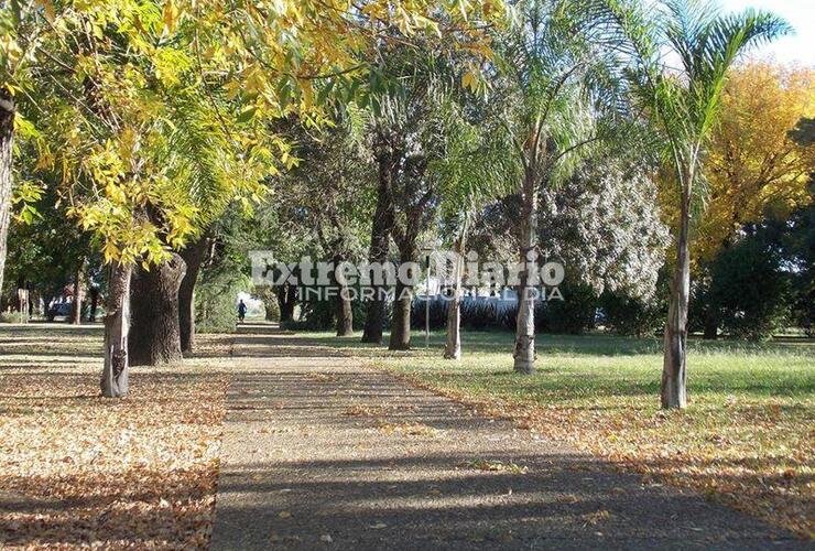 Su presidenta comunal informó que se esperan el diagnóstico definitivo