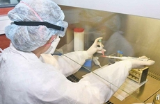 Imagen de Bochornoso: La Provincia inform&oacute; dos negativos en Arroyo Seco, pero ninguno es del joven que volvi&oacute; de Europa