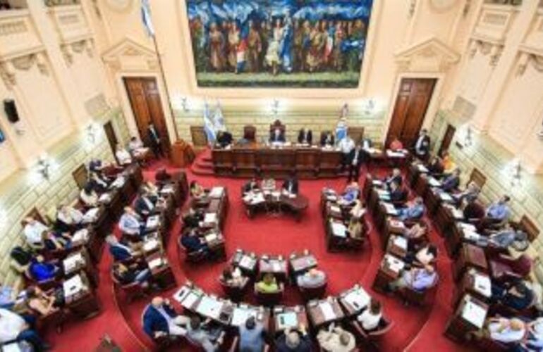 Imagen de Legisladores provinciales se bajan el sueldo un 50 por ciento