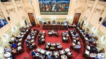 Imagen de Legisladores provinciales se bajan el sueldo un 50 por ciento