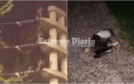 Villa Constituci&oacute;n, Empalme, Pav&oacute;n, Fighiera, Cnel. Bogado y Albarellos sin luz