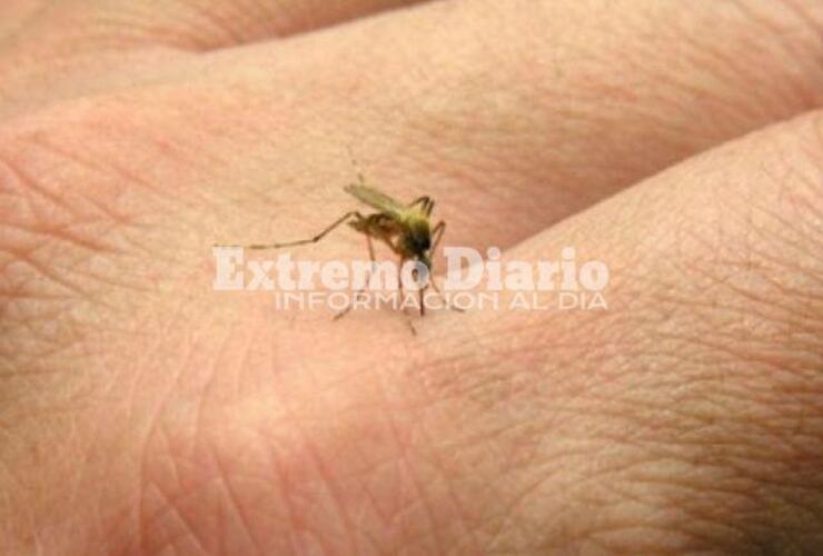 Ayer se conocía un nuevo caso positivo de dengue en esa localidad.