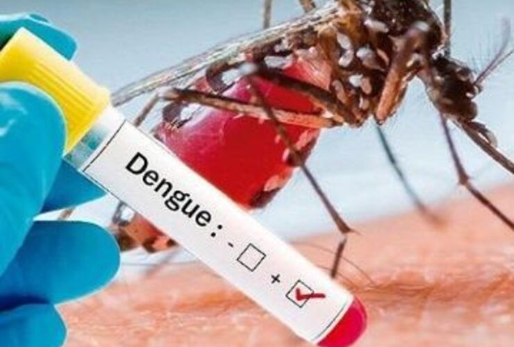 Imagen de El hombre que contrajo dengue ya fue dado de alta