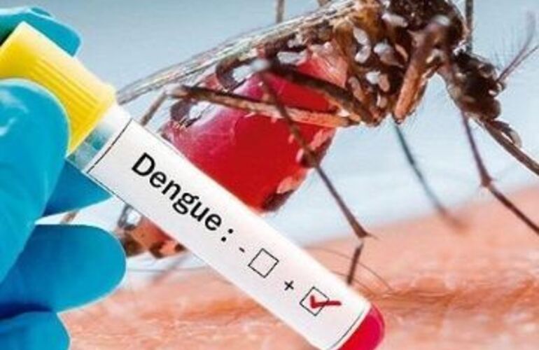 Imagen de El hombre que contrajo dengue ya fue dado de alta